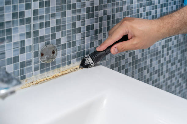 Best Office Mold Removal Services  in Egon City, OR
